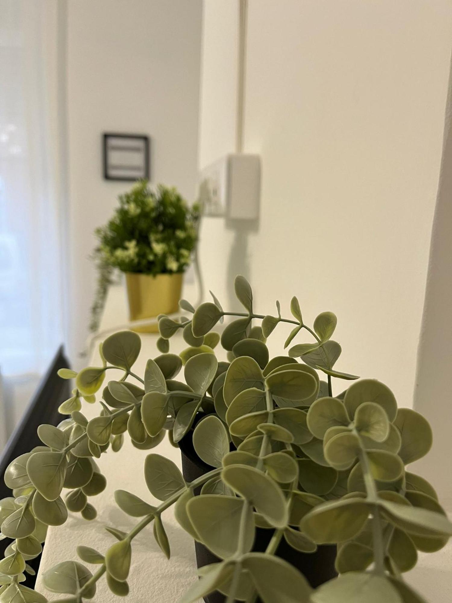 ואלנסיין Gite Le Charme Citadin 55 M² Avec Exterieur מראה חיצוני תמונה
